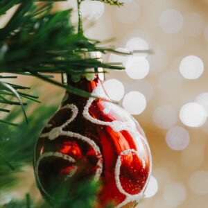 Personalized Pet Holiday Ornament