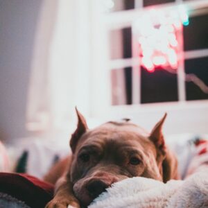 Memorial Photo Blanket